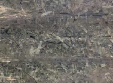 explore image